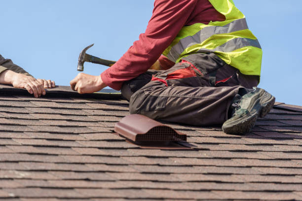 Best New Roof Installation  in Memphis, FL