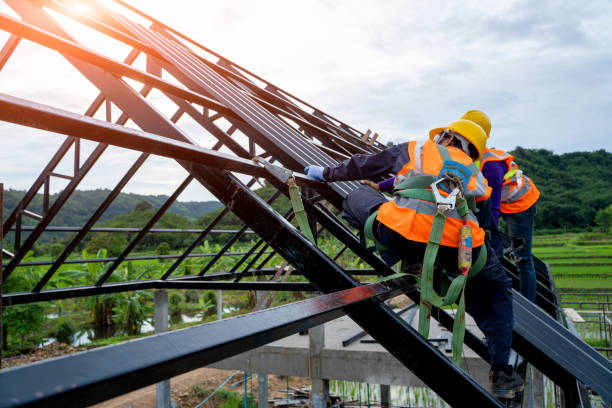 Best New Roof Installation  in Memphis, FL