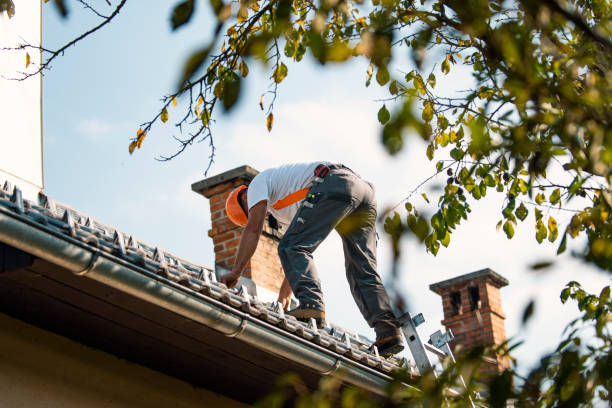 Best Roof Gutter Cleaning  in Memphis, FL