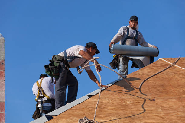 Best New Roof Installation  in Memphis, FL