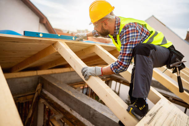 Best Roof Leak Repair  in Memphis, FL