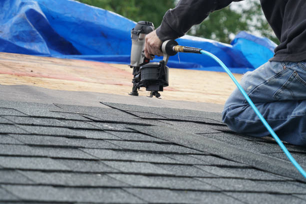 Roof Gutter Cleaning in Memphis, FL