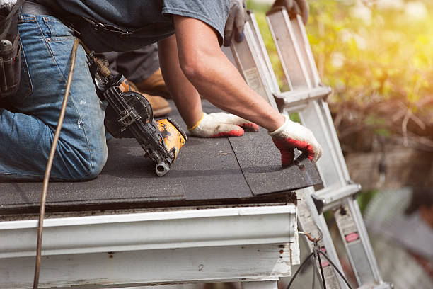 Best Roof Gutter Cleaning  in Memphis, FL