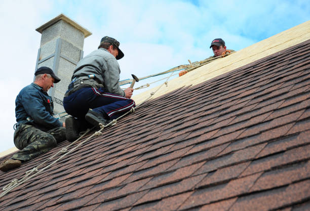 Best New Roof Installation  in Memphis, FL