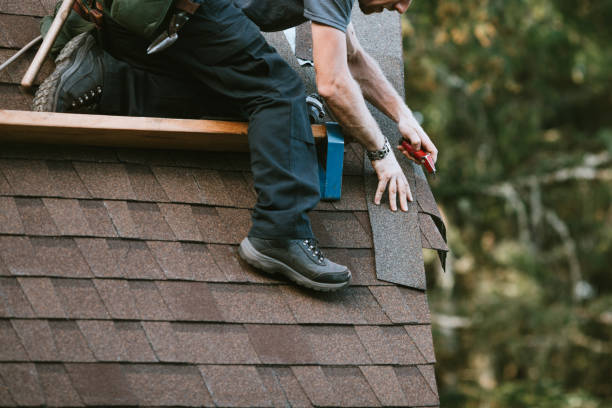 Best Roof Maintenance Services  in Memphis, FL