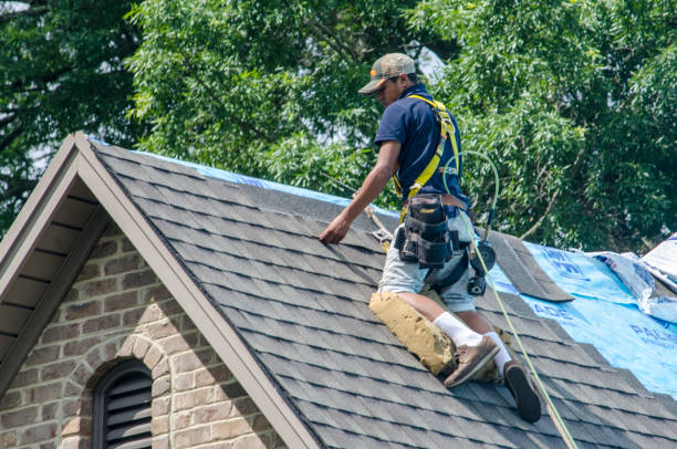 Best Gutter Installation and Roofing  in Memphis, FL